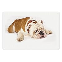 English Bulldog Pet Mat for Food and Water, Sad and Tired Bulldog Laying Down European Pure Breed Animal Photography, Non-Slip Rubber Mat for Dogs and Cats, 18