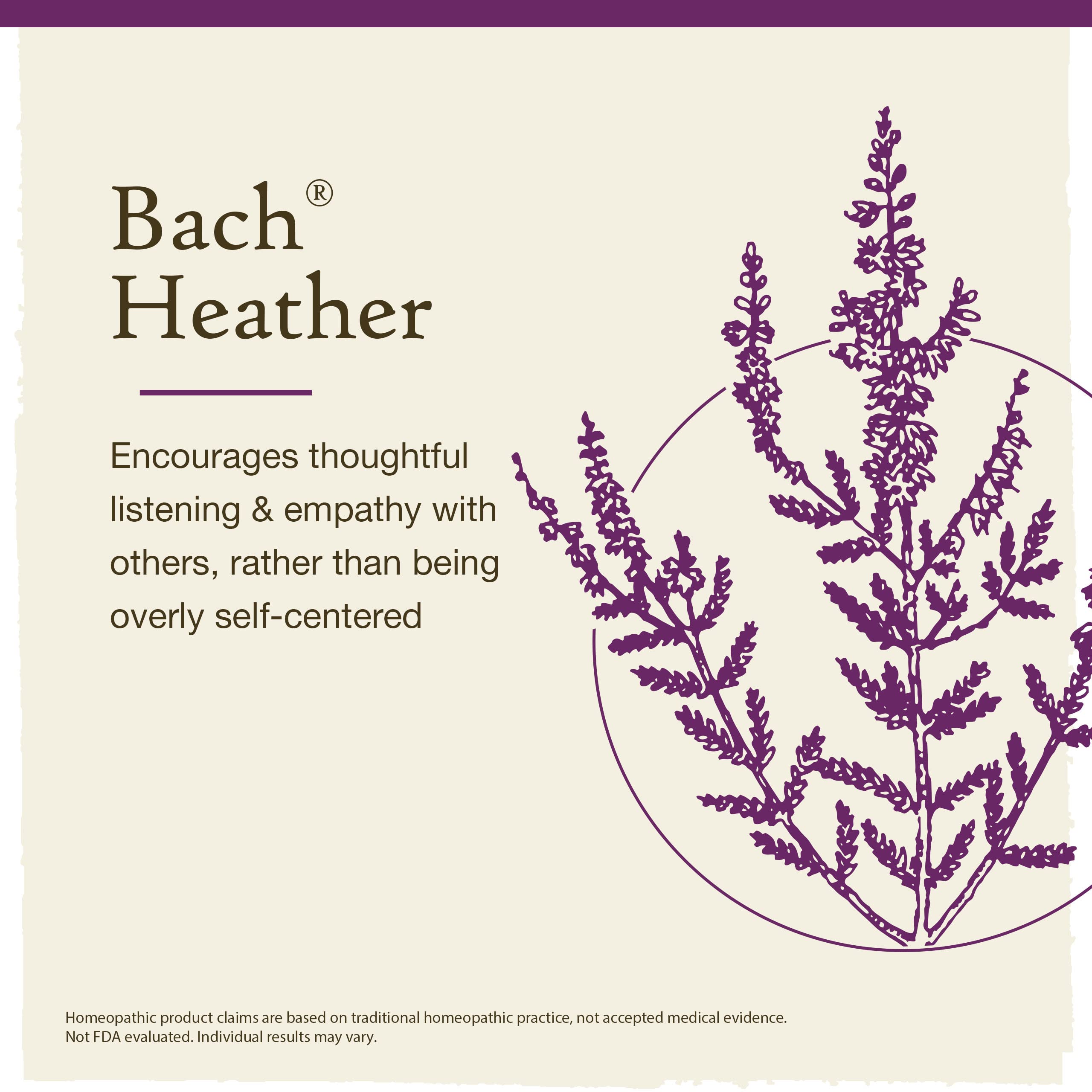 Bach Original Flower Remedies, Heather for Empathy, Natural Homeopathic Flower Essence, Holistic Wellness, Vegan, 20mL Dropper