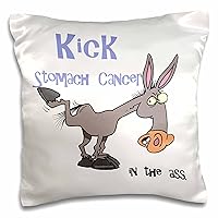 3D Rose Kick Stomach Cancer in The Ass Awareness Ribbon Cause Design Pillowcase, 16