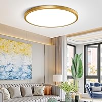 12Inch LED Ceiling Light Fixture Flush Mount, 24W(240W Equivalent), 3200LM, 5000K Daylight White, IP40, Flat Modern Round Ceiling Light for Bedrooms, Living Rooms, Bathrooms, Stairwells, etc.(Gold)