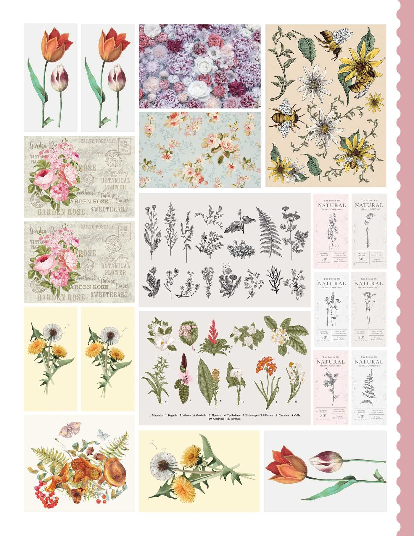 Junk Journal Cutouts: Vintage Designs: From Botanicals to Travel, 350+ Timeless Images for Creative Journaling