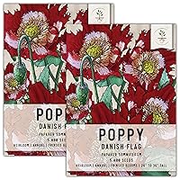 Seed Needs, Danish Flag Poppy Seeds - 5,000 Heirloom Seeds for Planting Papaver somniferum - Attracts Pollinators/Butterflies (2 Packs)