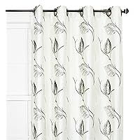 Astonish 50-by-63 Inch Embroidered Leaf Grommet Top Lined Window Treatment Panel, Onyx