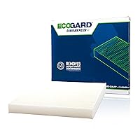 ECOGARD XC35519 Premium Cabin Air Filter Fits Honda Accord, Civic, CR-V, Odyssey, Pilot/Acura MDX, TL, TSX, RDX/Honda Ridgeline/Acura TLX, ILX/Honda Crosstour/Acura RL (One Pack)