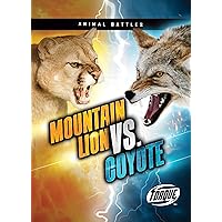 Mountain Lion vs. Coyote (Animal Battles)