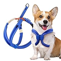 No Pull Dog Harness Adjustable Lightweight for Small to Large Dogs Walking, No Choke, Leather, Heavy Duty, Easy Control, Comfortable Soft Padded Nylon Vest (Blue, Medium)