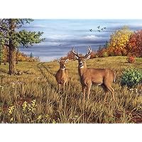 Buffalo Games - Hautman Brothers - Fall Fauna - 1000 Piece Jigsaw Puzzle for Adults Challenging Puzzle Perfect for Game Nights - Finished Size 26.75 x 19.75