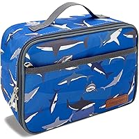 shark lunch box for Kids boys Insulated Lunch bag for toddler,Washable and Reusable Lunch Boxes for School, Work, Picnic or Travel,Astronaut Camo Space Dinosaur (Shark)