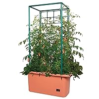 Hydrofarm GCTR 10 Gal Tomato Garden Planting Grow System with 4 Foot Trellis Tower on Wheels for Indoor/Outdoor Climbing Vines, Flowers, and Gardens