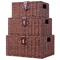 Set of 3 Woven Wicker Storage Basket Box with Lid & Lock, Built-in Carry Handles, Multifunctional Storage Organiser for Nursery, Baby, Clothes, Toys, Books, Large/Medium/Small Size (Natural)