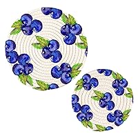Watercolor Blueberries Trivets for Hot Dishes Pot Holders Set of 2 Pieces Hot Pads for Kitchen Heat Resistant Trivets for Hot Pots and Pans Placemats Set for Countertops Farmhouse Kitchen