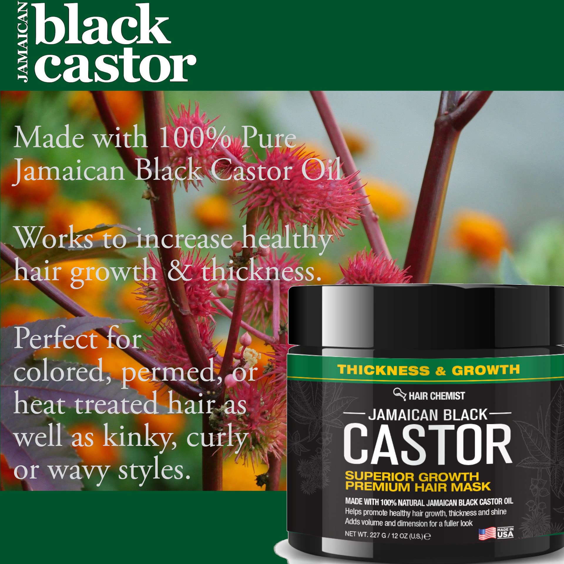 Hair Chemist Superior Growth Jamaican Black Castor Hair Mask 12 oz. - Hair Masque for Dry Damaged Hair, Deep Repairing Mask for Hair Growth