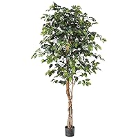 6ft. Ficus Silk Tree