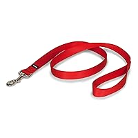 PetSafe Nylon Dog Leash - Strong, Durable, Traditional Style Leash with Easy to Use Bolt Snap - 1 in. x 4 ft., Red