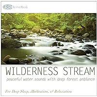 Wilderness Stream: Peaceful Water Sounds with Deep Forest Ambiance Nature Sounds, Deep Sleep Music, Meditation, Relaxation Rivers & Babbling Brooks Wilderness Stream: Peaceful Water Sounds with Deep Forest Ambiance Nature Sounds, Deep Sleep Music, Meditation, Relaxation Rivers & Babbling Brooks Audio CD MP3 Music