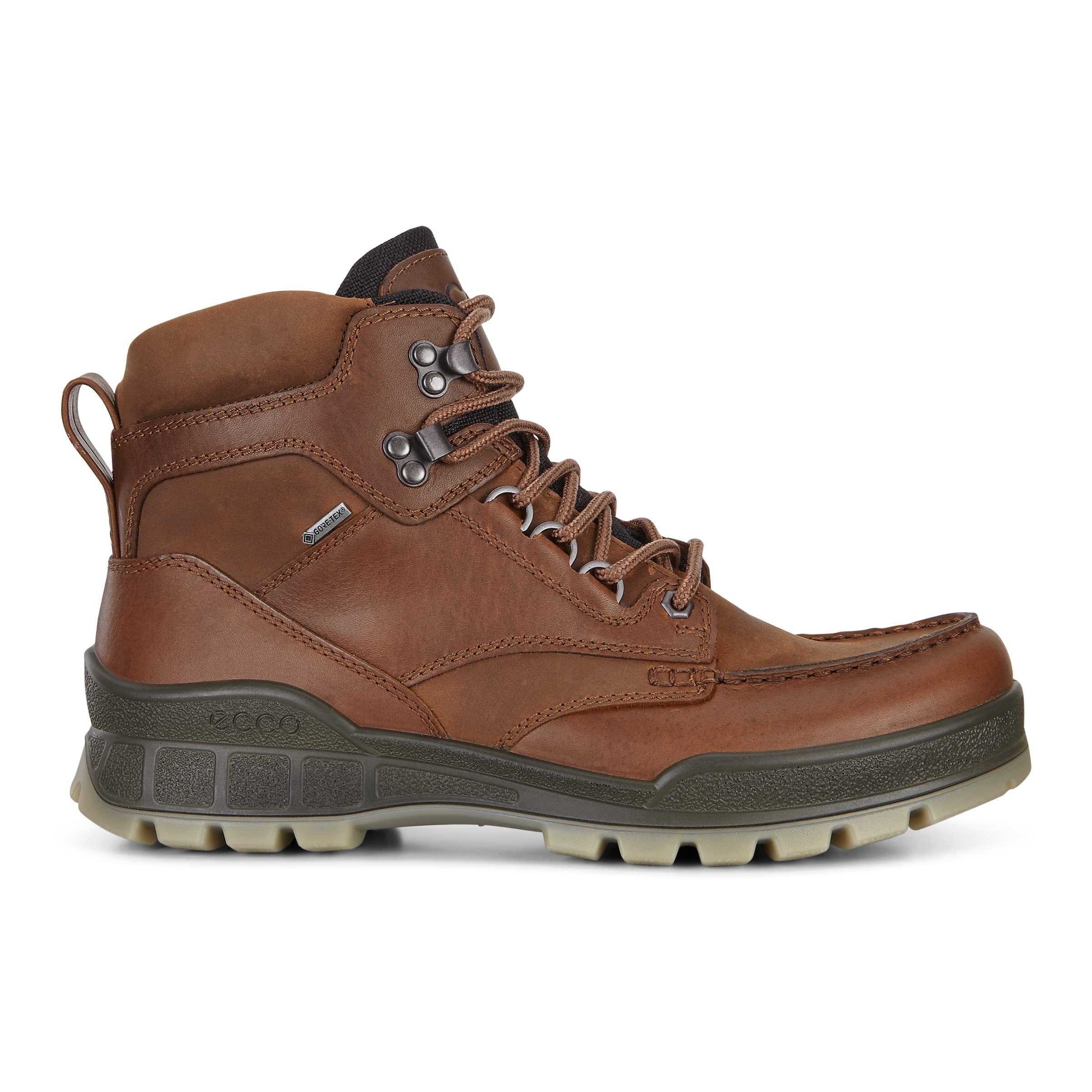 ECCO Men's Track 25 High Gore-tex Waterproof Hiking Boot, 8 US