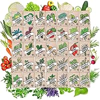 Vegetable & Culinary Herb Seeds Bundle - 20 Pack Vegetable Seeds for Planting & 15 Pack Culinary Herb Seeds - Premium Non GMO Variety Seed Packets for A Diverse & Flavorful Garden