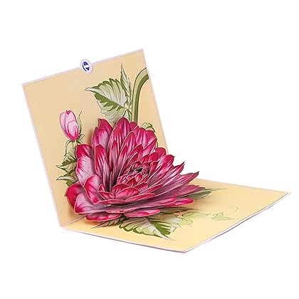 TRUANCE Pop Up Card, Greeting Card, Dahlia Flower, For Mothers Days, Fathers Day, Anniversary Card, Birthday Card, Love Card, Thank You Cards All Occasions