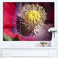 Colorful Opium Poppy Photo-Flowers Glossy Metal Wall Art, 36x28-3 Panels, Red