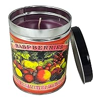Black Raspberry Vanilla Scented Tin Candle, Up to 100 Hours of Burn Time with Specialty Blended Soy & Paraffin Wax | Our Own Candle Company, 13 Ounce