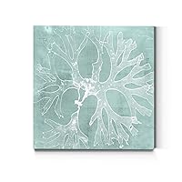 Renditions Gallery Square Canvas Wall Art: Contemporary Coastal Beach, Neutral Nature, Modern Fractial Floral, Multi Color Flower Abstract Wall Art for Home & Office - Seaweed on Aqua III 32X32