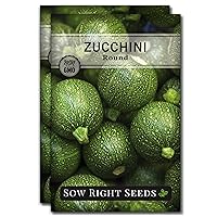 Sow Right Seeds - Round Zucchini Seed for Planting - Non-GMO Heirloom Packet with Instructions to Plant a Home Vegetable Garden - Unique Globe Squash - Summer Vining Variety (2)