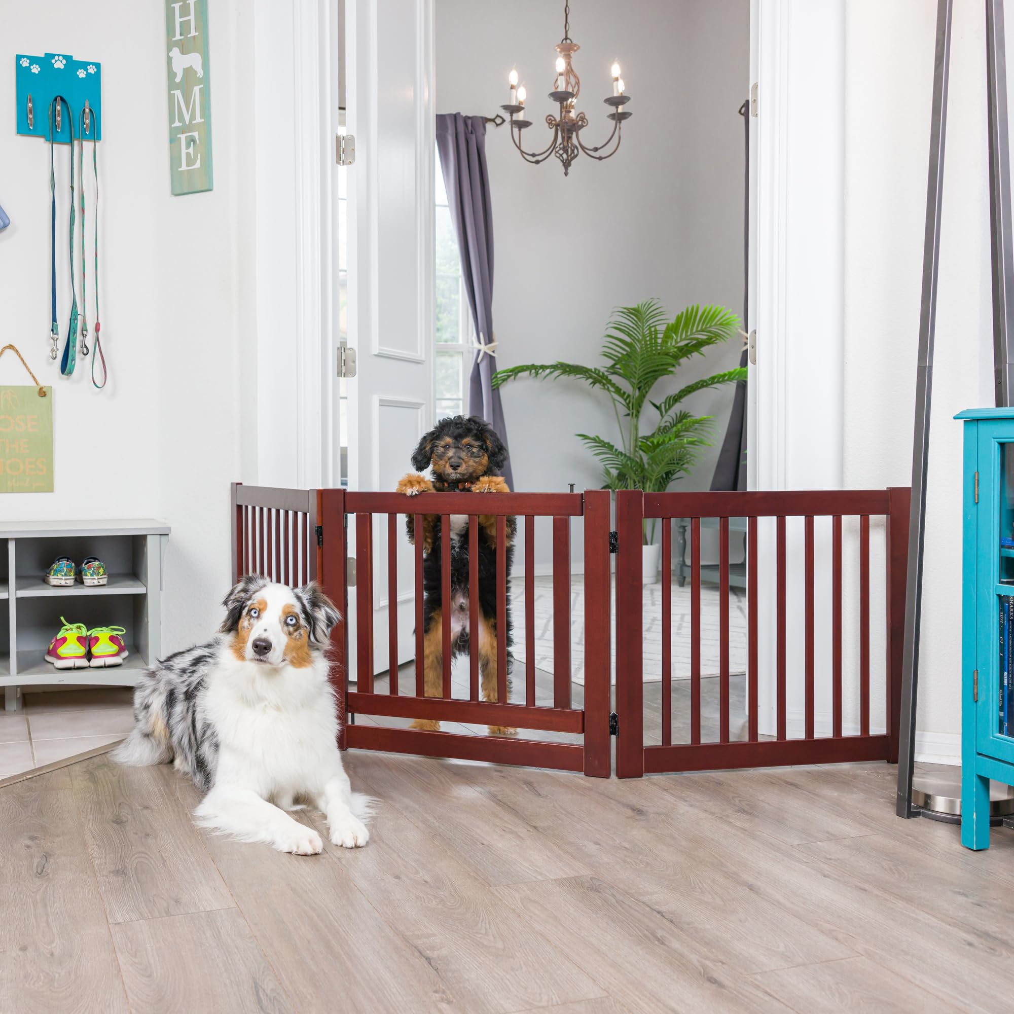 Primetime Petz 360 Configurable Freestanding Dog Gate with Door for Home