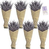 6 Pack Dried Lavender Bundles,Natural Dried Lavender Flowers Bouquet with Stems -International Women's Day Gifts Home Fragrance Decoration/Wedding/Party/Sprigs for Cocktails | Length 14-17 inches