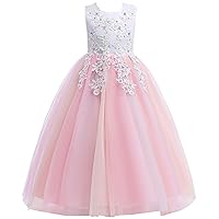 Weileenice Little/Big Girls Lace Bridesmaid Dress Flower Kid Wedding Ball Gown Toddler Princess Pageant Evening Dresses