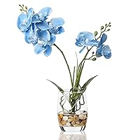 Jusdreen 1 Pcs Glass Vase Artificial Orchid Flower Bonsai Vivid Phalaenopsis Flowers Potting for Home Office Décor,Table Centerpiece Room Decorations 14.5 INCH (Glass Vase/Blue Orchid)