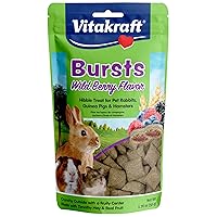 Bursts Small Animal Treats - Wild Berry Snacks - for Rabbits, Guinea Pigs, and Hamsters 1.76 Ounce (Pack of 1)
