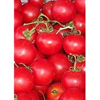 How to grow tomatoes upside down - and get a bumper crop How to grow tomatoes upside down - and get a bumper crop Kindle