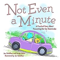 Not Even a Minute: A Practical Story About Preventing Hot Car Heatstroke