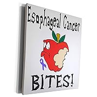 3dRose Funny Awareness Support Cause Esophageal Cancer... - Museum Grade Canvas Wrap (cw_120529_1)