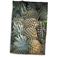 3dRose Asia, Vietnam. Pineapples in The Hold of a Mekong River Boat, Can THO - Towels (twl-226078-1)