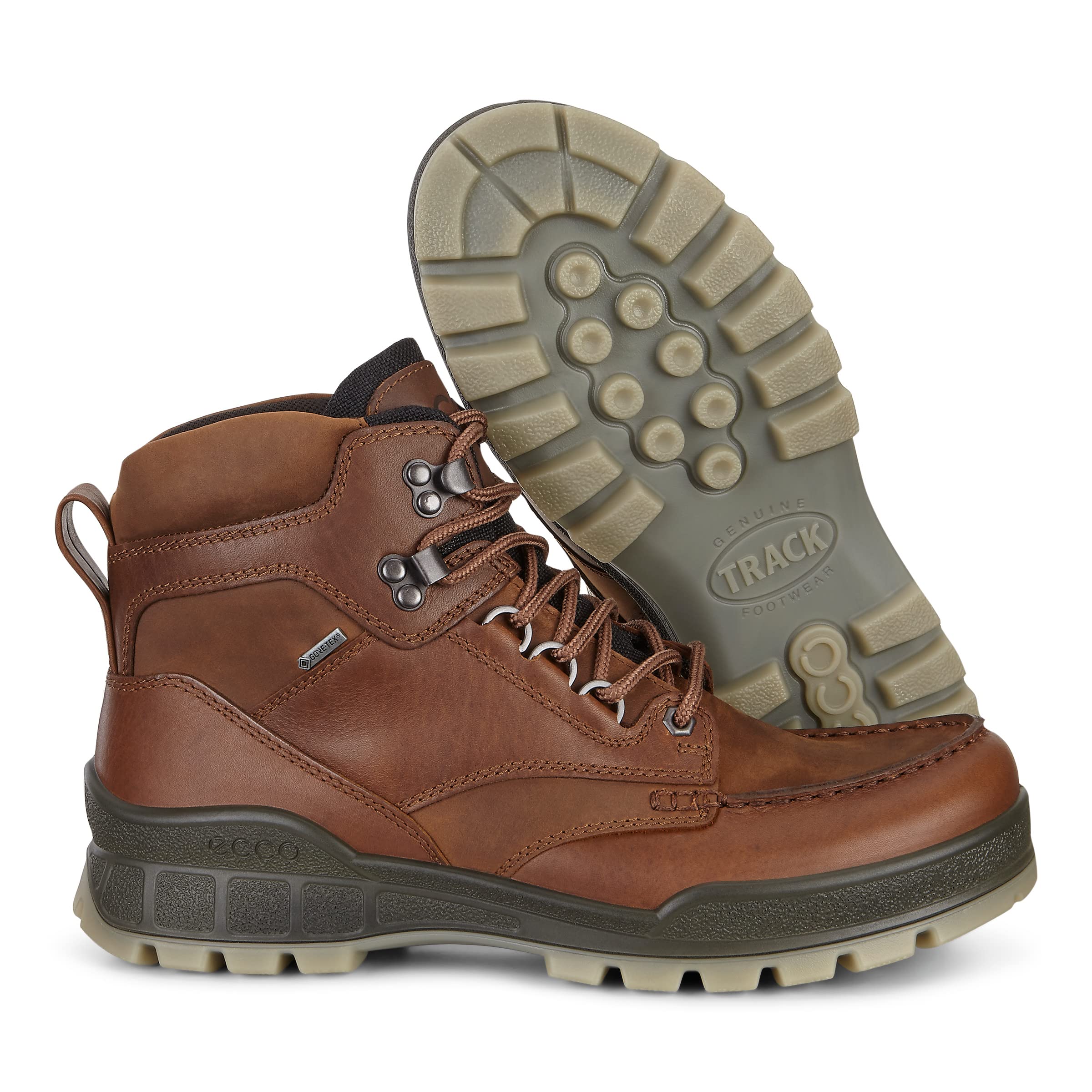 ECCO Men's Track 25 High Gore-tex Waterproof Hiking Boot, 8 US