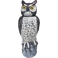 Dalen SOL-R Action Solar Fake Owl Decoy to Scare Birds Away from Gardens, Rooftops, and Patios - Safe and Humane, 18