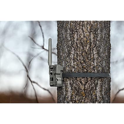 SPYPOINT Flex Dual-Sim Cellular Trail Camera 33MP Photos 1080p Videos with Sound and On-Demand Photo/Video Requests - GPS Enabled with 4 PK Bundles (4 PK Solar Bundle)