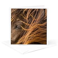 Iceland. Close-up of Icelandic horses head. - Greeting Card, 6 x 6 inches, single (gc_188425_5)