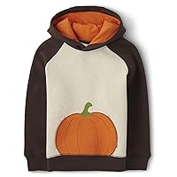 Gymboree Boys' and Toddler Long Sleeve Hoodie