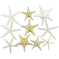 U.S. Shell, Inc. Starfish Mix