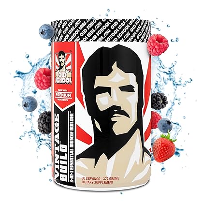 Vintage Build – Post Workout Recovery & Muscle Building Powder Drink for Muscular Strength & Growth - Reduces Soreness – Creatine Monohydrate, BCAAs, L-Glutamine – Fresh Berries Flavor – 377g