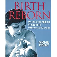Birth Reborn : What Childbirth Should Be Birth Reborn : What Childbirth Should Be Paperback Hardcover