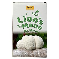 Lion's Mane Grow Kit (one kit), 3.2 Pound Log