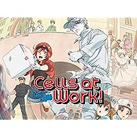 Cells at Work!!, Season 2 (Simuldub)