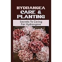 Hydrangea Care & Planting: Secrets To Caring For Hydrangeas: All About Hydrangea