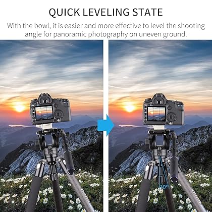 INNOREL ST324CT/ST324CF Carbon Fiber Tripod Max Height 160cm Max Load 30kg Max Tube Dia 32mm Professional Birdwatching Heavy Duty Camera Stand (Fast Flip Lock)