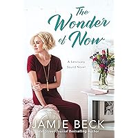 The Wonder of Now (Sanctuary Sound Book 3) The Wonder of Now (Sanctuary Sound Book 3) Kindle Audible Audiobook Library Binding Paperback MP3 CD
