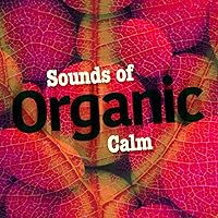 Sounds of Organic Calm Sounds of Organic Calm MP3 Music