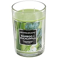 PT41900 2-Wick Scented Jar Candle, Bamboo & Eucalyptus, 19-Ounce, Green